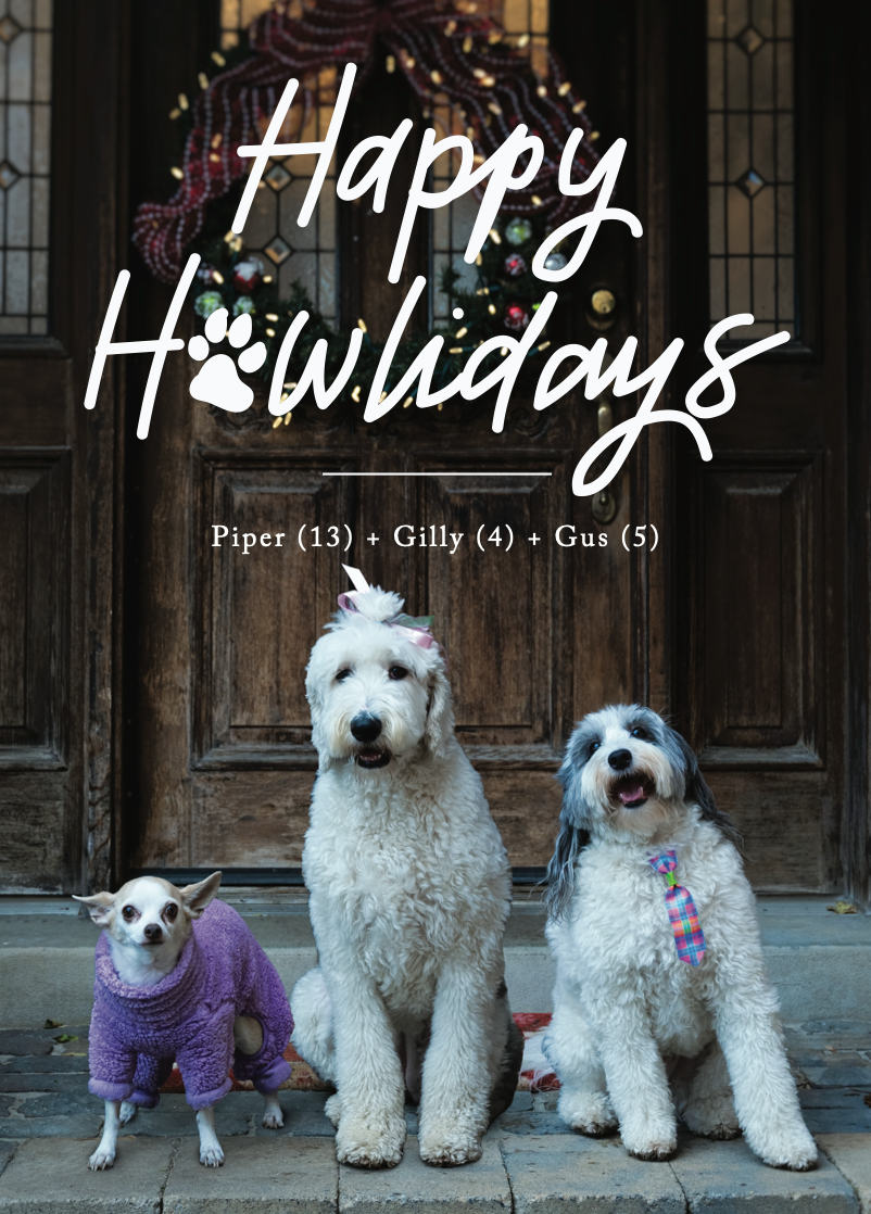 Holiday Card//Christmas is Going to the Dogs