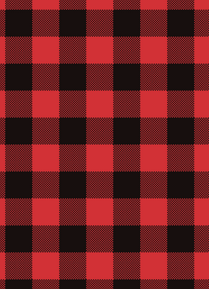 Holiday Card Back//Red Plaid